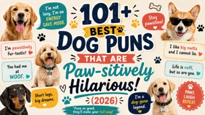 101+ Best Dog Puns That Are Paw-sitively Hilarious(2026)