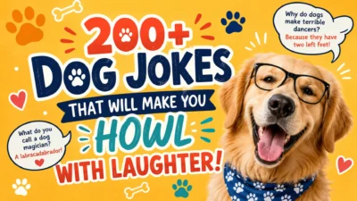 200+ Dog Jokes That Will Make You Howl with Laughter