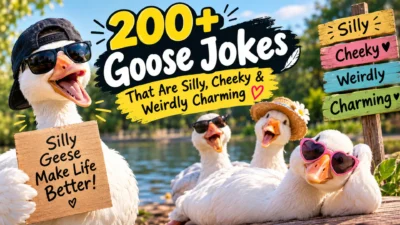200+ Goose Jokes That Are Silly, Cheeky & Weirdly Charming